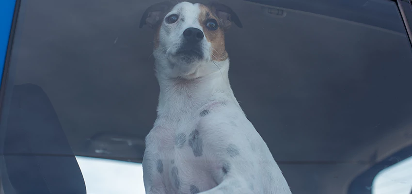 Car Lockout Solutions in Corona, California